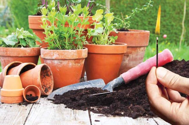 Flower Pots & Fire Risk