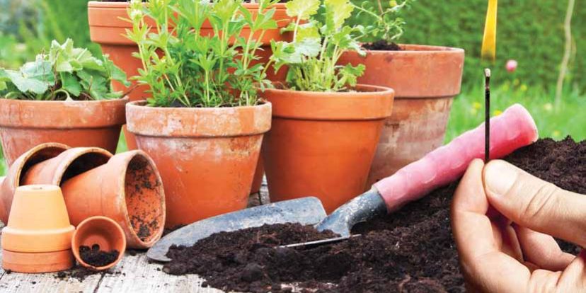 Flower Pots & Fire Risk