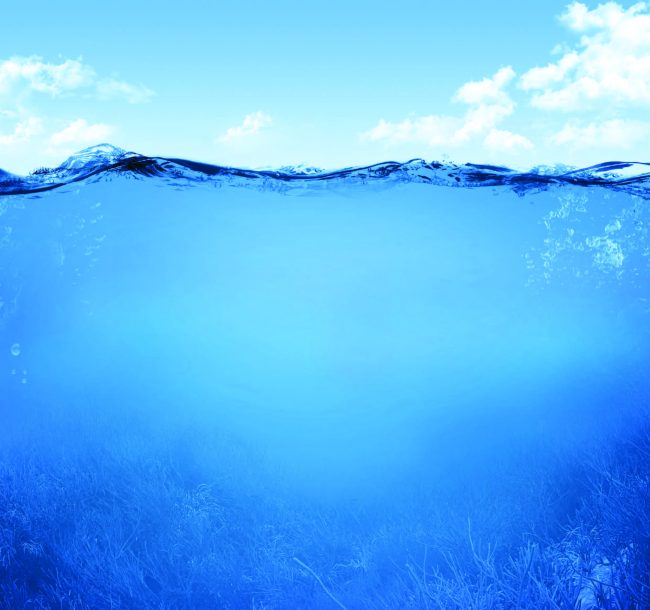 Pool Resources Photo