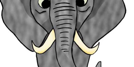 The Pachyderm Progression 2