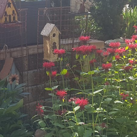 20190726_110227 20190726_110227