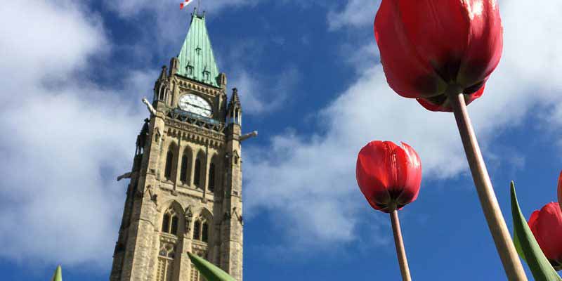 Federal-Budget-800×400