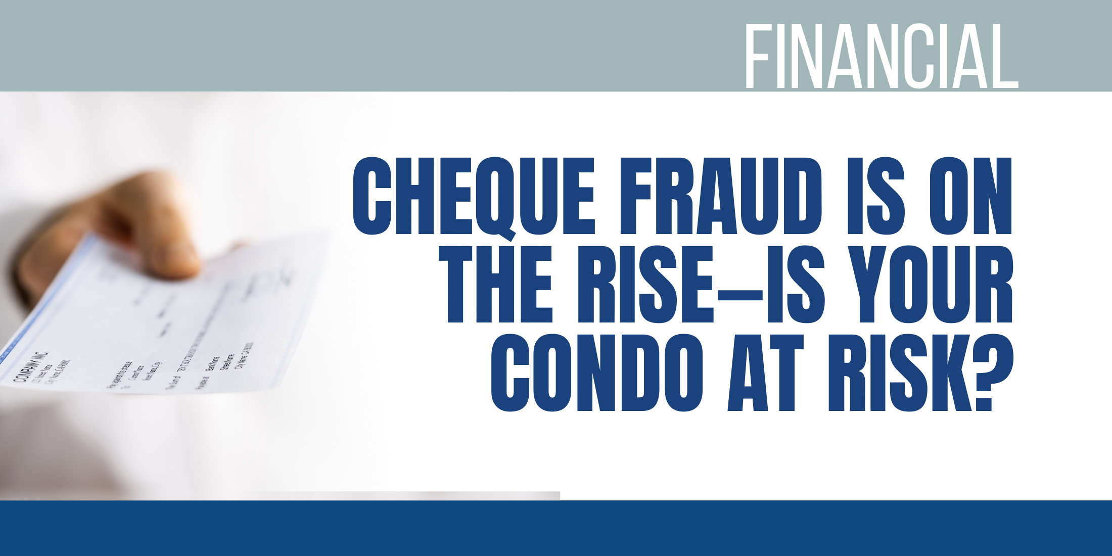 Financial – Cheque Fraud winter 2024