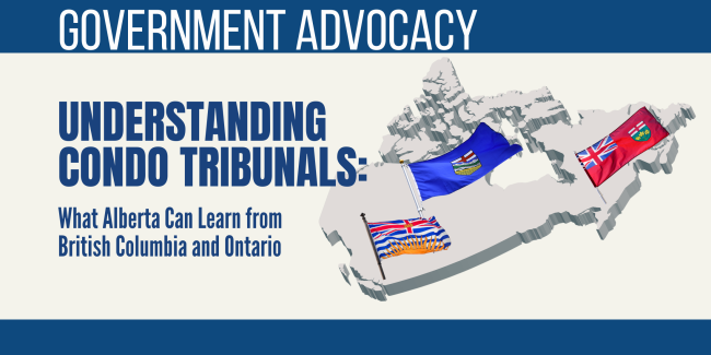 Government Advocacy – winter 2024_img