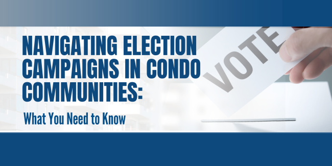 Navigating Elections – website 3