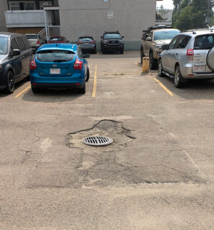 paved for protection image 2