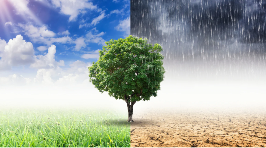 support climate img